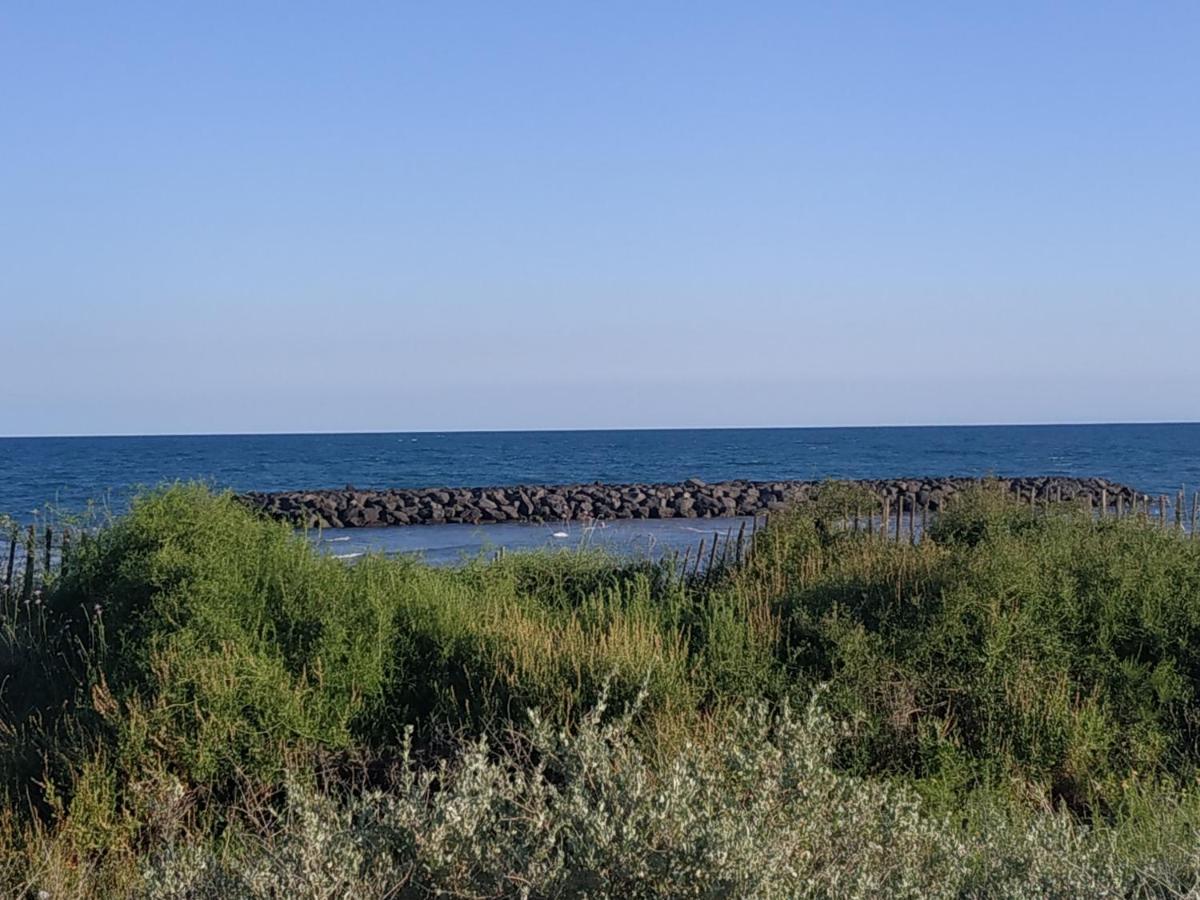 Appartement, Vue Sur Mer, Acces Direct Plage, Piscine Vias Luaran gambar
